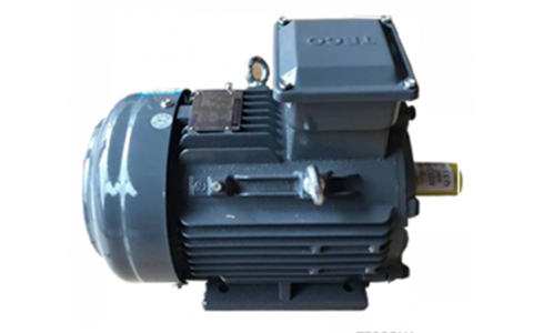 GB3 Energy Efficient Motor