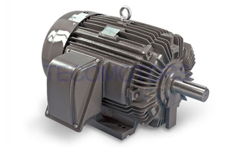 NEMA VFD Dust Explosion Proof Motor